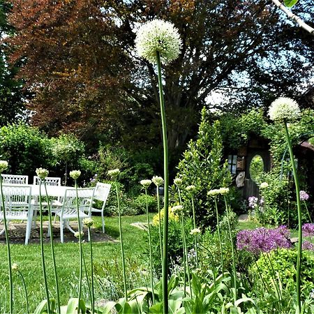 Bed and Breakfast Le Jardin Des Miroirs Esneux Экстерьер фото