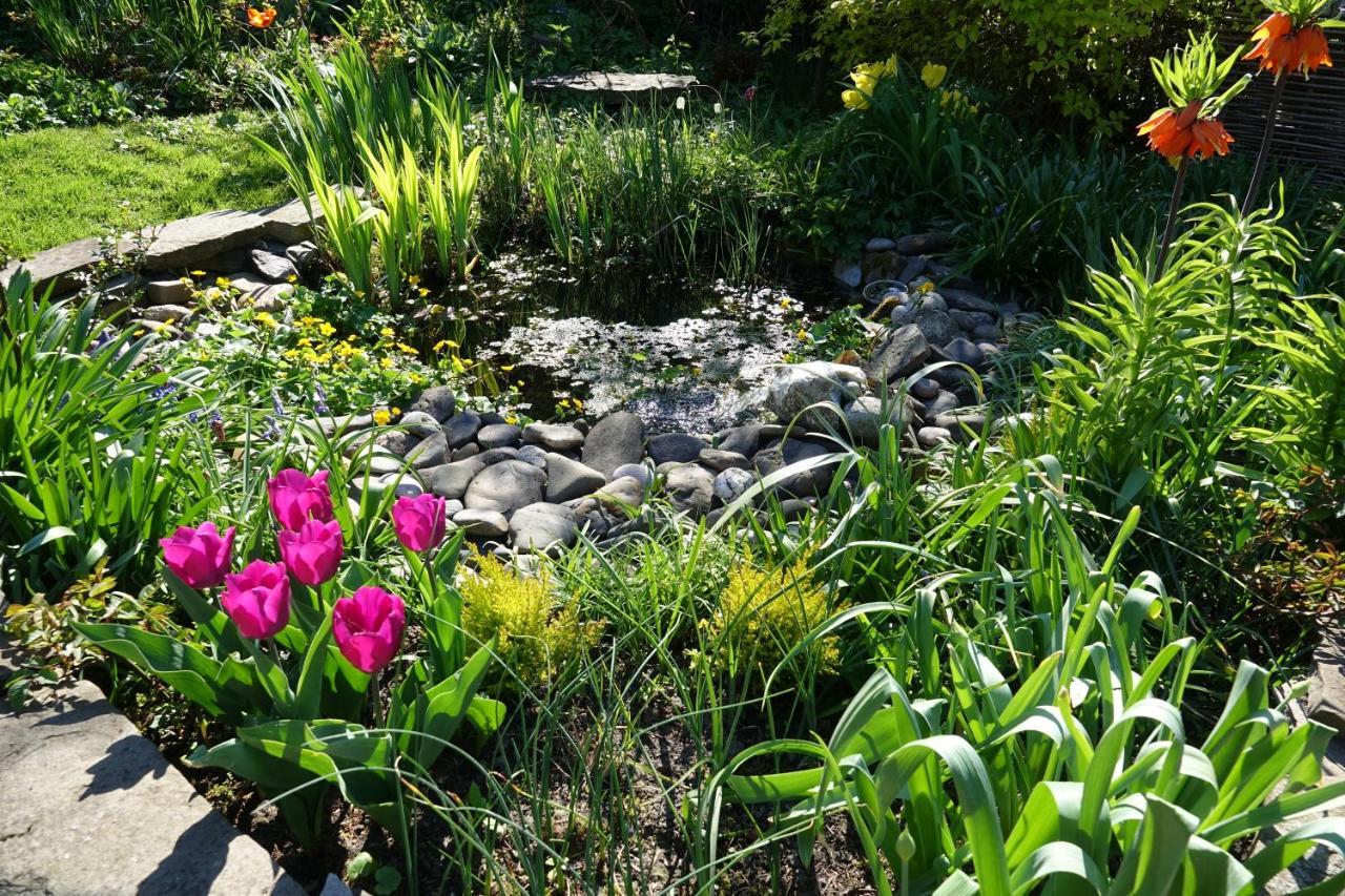 Bed and Breakfast Le Jardin Des Miroirs Esneux Экстерьер фото
